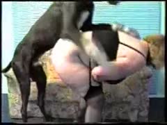 A wonderful, large, attractive woman who is Dick starved exposes herself for violent dog sex.